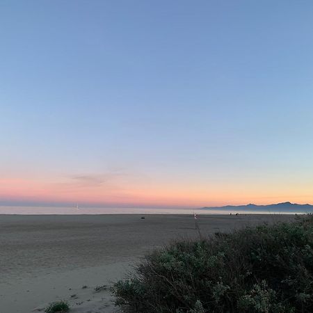 Le Regina Hotel Et Restaurant Canet-Plage Kültér fotó